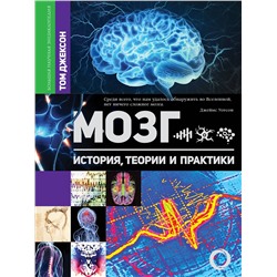 АСТ Джексон Том "Мозг. История, теории и практики"