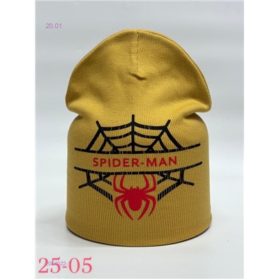 шапка 2054022-1