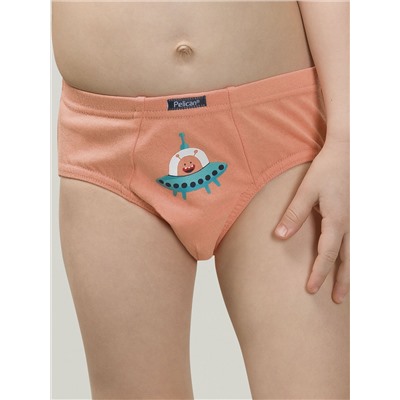 PELICAN Трусы BULB3297(3)