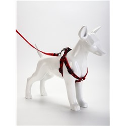 Шлейка с поводком «Большая лапа», ширина 1.5 см, поводок 120 см, шлейка 28-42 см, красная, чёрная