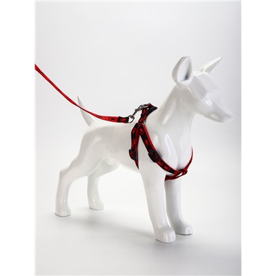 Шлейка с поводком «Большая лапа», ширина 1.5 см, поводок 120 см, шлейка 28-42 см, красная, чёрная