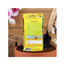 Набор семян Бакопа Блутопия, 2 шт.