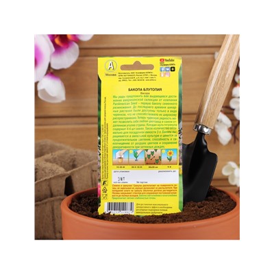 Набор семян Бакопа Блутопия, 2 шт.