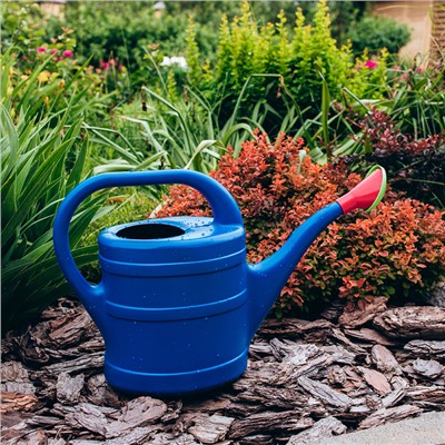 Лейка, 10 л, с рассеивателем, носик d=35 мм, цвет МИКС, «Классика»