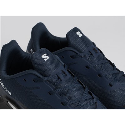 Кроссовки Salomon Alphacross 5 GTX