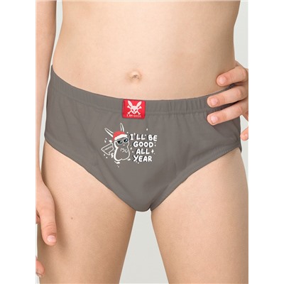 PELICAN Трусы BULB3307(3)