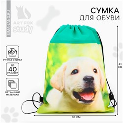 Мешок для обуви «Милый щенок» (нетканый материал) 41×30 см