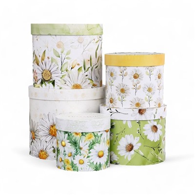 Набор шляпных коробок для цветов 5 в 1, упаковка подарочная, «Ромашки», 16×14 см - 22×19.5 см