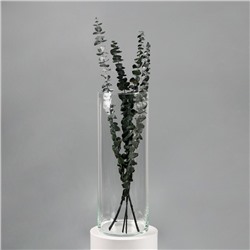 Ваза «Трубка-147», 6.2 л, h=40 см, d=14 см, толщина стекла 2 мм, прозрачная