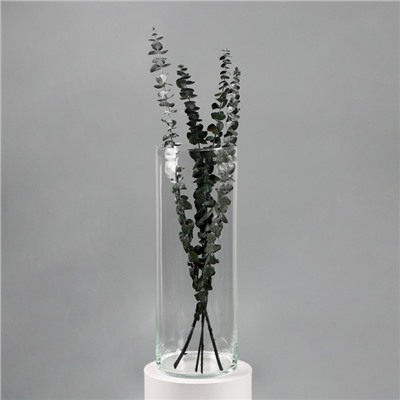 Ваза «Трубка-147», 6.2 л, h=40 см, d=14 см, толщина стекла 2 мм, прозрачная