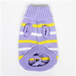 Свитер «Полоски», L (ДС 29, ОШ 29, ОГ 29-49 см)