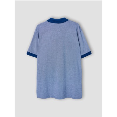 ПОЛО МУЖСКОЕ 111850/1