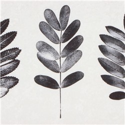 Коврик для ванной «Этель» Natural print, 50×80 см, велюр