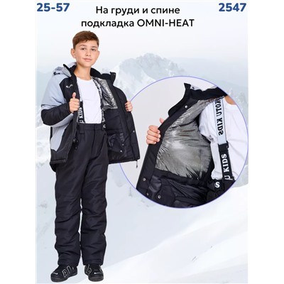 Костюм 2547 серый