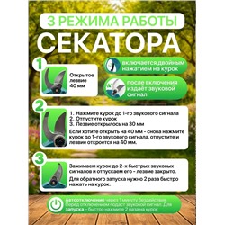Комплект #23337103