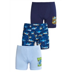 Трусы для мальчика Berrak