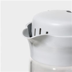 Кувшин Renga «Дэйзи», 1.5 л, 10×29 см, с пластиковым фильтром, стекло, прозрачный