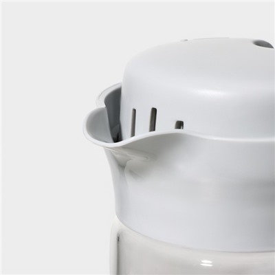 Кувшин Renga «Дэйзи», 1.5 л, 10×29 см, с пластиковым фильтром, стекло, прозрачный