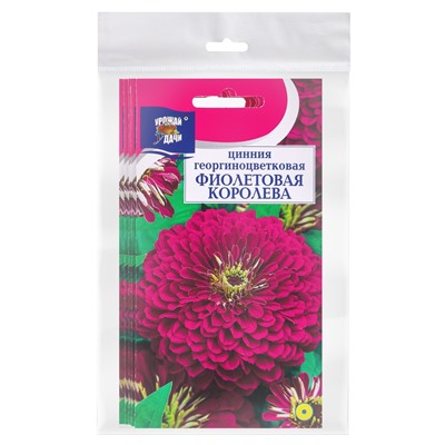 Набор семян Цинния георгин. "Фиолетовая королева", 5 шт.