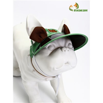 Кепка для собак и кошек, размер L, ОГ 35-46 см, высота 13 см, зелёная