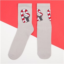 Носки женские новогодние KAFTAN «Пингвин» размер 36-40 (23-25 см), набор 2 пары