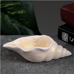 Декоративное кашпо для цветов «Ракушка», 50 мл, 13×6×3 см, гипс, бежевое