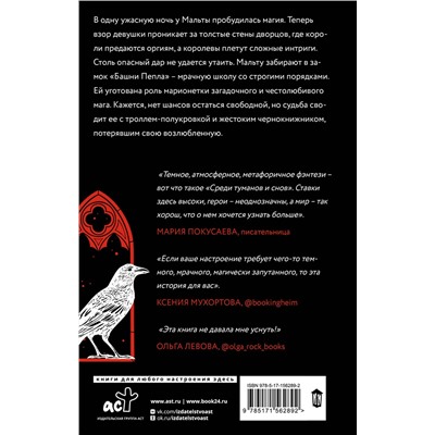 384712 АСТ Анна Бруша "Среди туманов и снов"