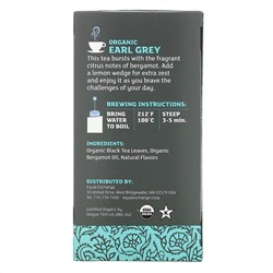 Equal Exchange, Organic Earl Grey, Black Tea, 20 Tea Bags, 1.41 oz ( 40 g)