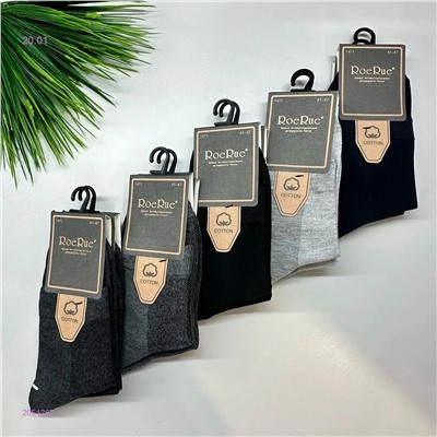 Носки мужские 10 пар 2054267-1