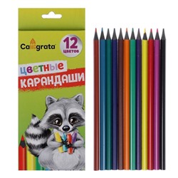 Карандаши Calligrata цветные заточенные, 12 цветов, в картонной коробке