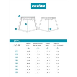 Acoola Шорты 20240420015