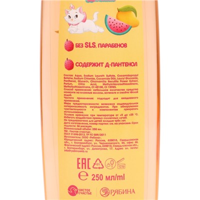 Подарочный набор: гель для душа 250 мл, шампунь 250 мл, Кошечка Мари