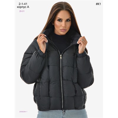 Куртка демисезонная 2058264-1