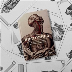 Эксмо Джоанна Эбенштейн "Анатомика. От ужасного до великого: человеческое тело в искусстве"