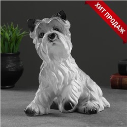 Копилка для денег «Ризен», гипс, 21×13×23 см