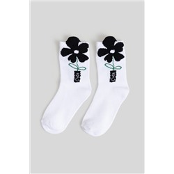 Носки ACOOLA, 1039464