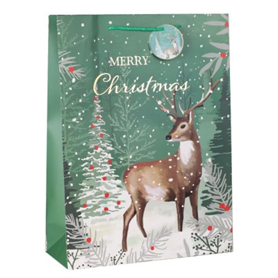 Пакет подарочный 31х42х12см / 5286ХL /уп 12/300/Новый год