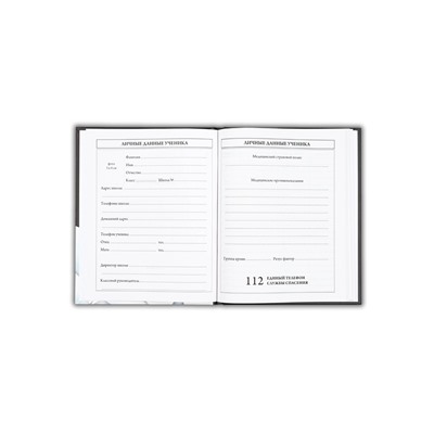 Дневник школьный для 5-11 класса, в твердой обложке, 48 л., Black