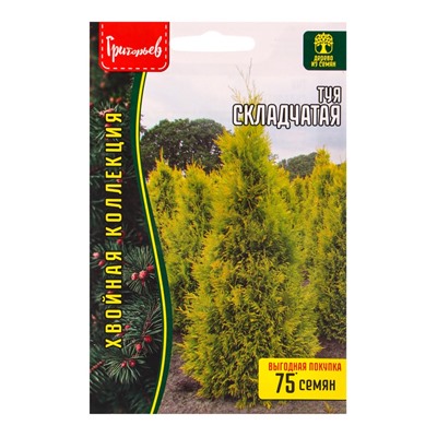 Семена Туя Складчатая 0,1 г. 12.29 г.