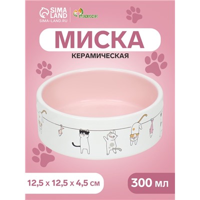Миска керамическая «Весёлые котики» 300 мл 12.5×4.5 см, бежево-белая