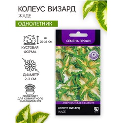 Семена цветов Колеус Визард Жаде, 10шт