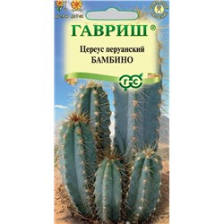 Цереус (Кактус) Бамбино комнатный