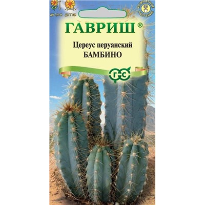 Цереус (Кактус) Бамбино комнатный