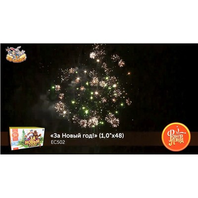 Фейерверк ЕС502 За Новый Год! (1" х 48)