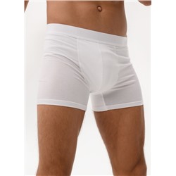 Мужские трусы Berrak