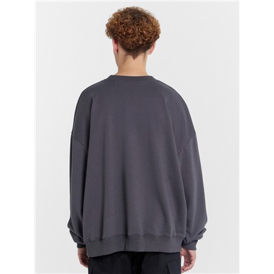 СВИТШОТ МУЖСКОЙ 121866/1