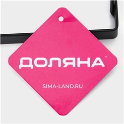 Держатель для крышек и разделочных досок Доляна, 16×15×9.5 см, чёрный