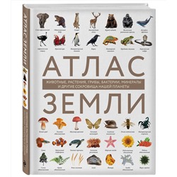 Эксмо Регина Михайлова "Атлас Земли. Животные, растения, грибы, бактерии, минералы и другие сокровища нашей планеты"