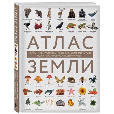 Эксмо Регина Михайлова "Атлас Земли. Животные, растения, грибы, бактерии, минералы и другие сокровища нашей планеты"