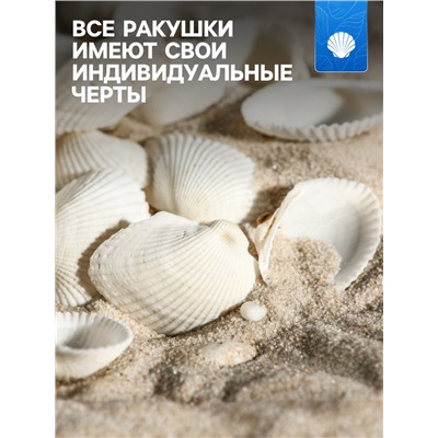 Набор ракушек, 2 - 3.5 см, 100 г